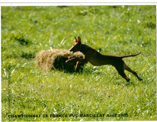 uruk au championnat