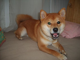 eiji