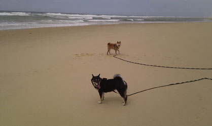  erisquay ( nf)   a laplage 