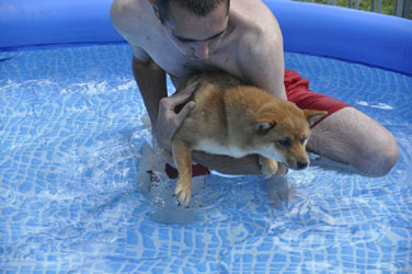  mika a lapiscine 