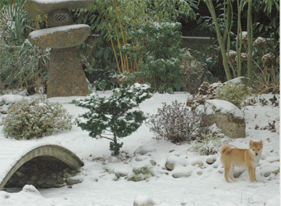 yuki  ds son jardin 